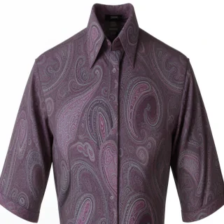paisley png