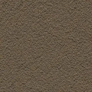 rough textures