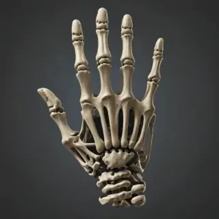 skeleton hand png