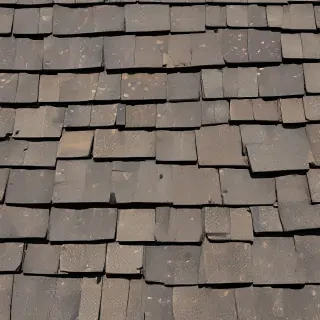 picture of shingles