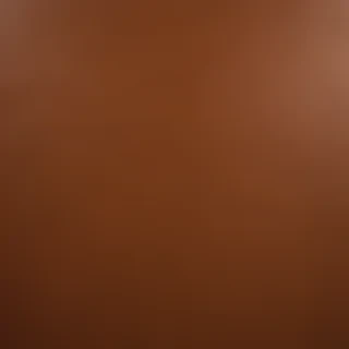 plain brown background