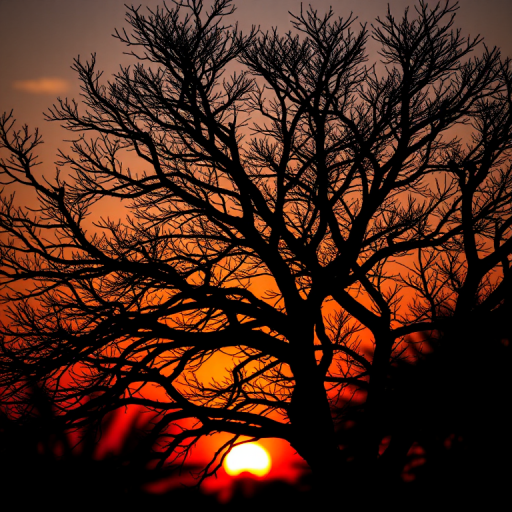 Create a black silhouette of a tree with intricate branches against a vibrant sunset background, using a DSLR camera with a 50mm lens, aperture set to f/2.8, ISO 100, shot from a low angle to enhance depth, and a warm color palette to emphasize the sunset.