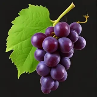grape png