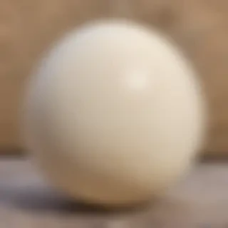 ostrich egg