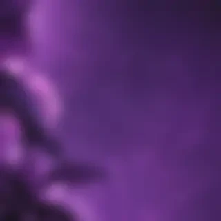 aesthetic purple pictures