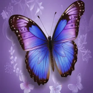 butterfly wallpaper purple