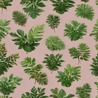 plants no background