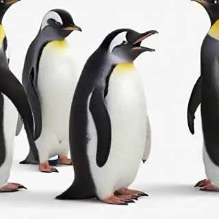 penguin png