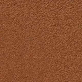 brown ig highlight cover