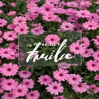 hello june images