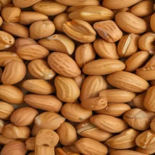 peanut png