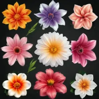 clipart transparent background flowers
