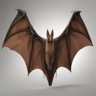 bat wings png