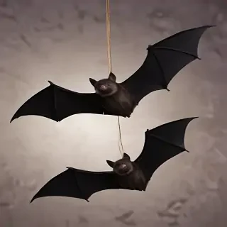 images of halloween bats