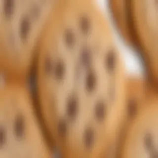 chocolate chip cookies png
