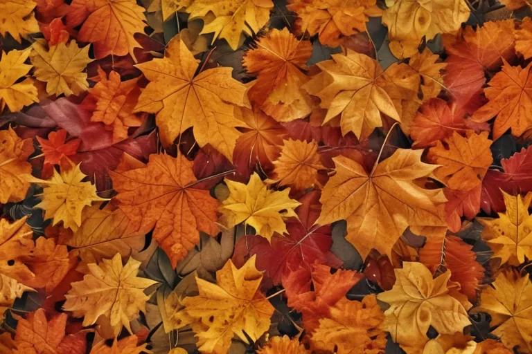 autumn background iphone