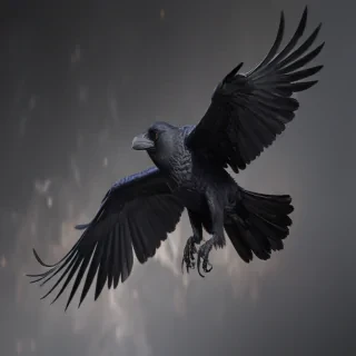 raven png