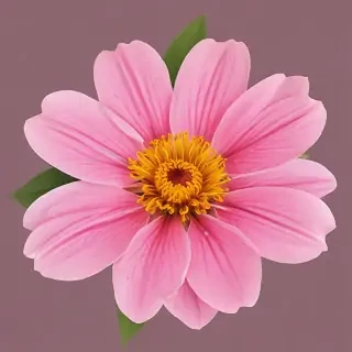 flower png clip art
