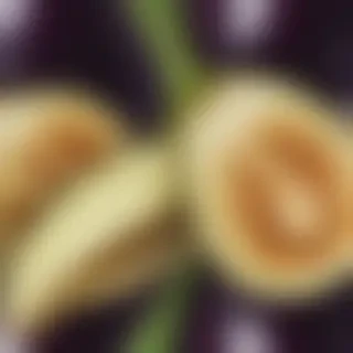 eggplant png