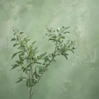 light sage green background