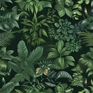 plants zoom backgrounds