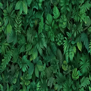 green aesthetic background
