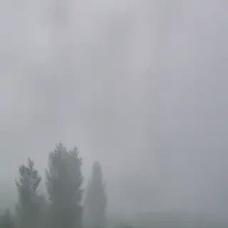 foggy background