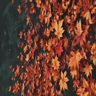 fall aesthetic wallpaper iphone
