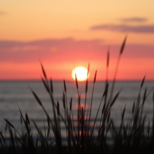 Sunset over calm ocean with silhouetted grass in foreground, golden hour lighting, soft focus, 35mm lens, f/11 aperture, ISO 100, shot from a low angle for depth, minimal post-processing for natural colors.