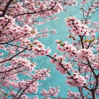 spring wallpaper phone