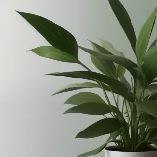 plant phone wallpaper