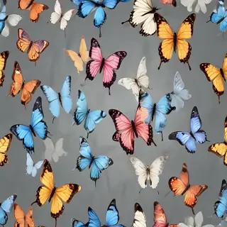 butterflies transparent