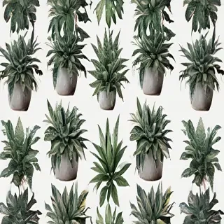 aesthetic plants png