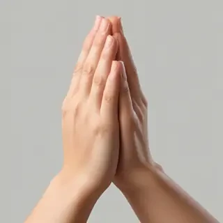 praying hands png transparent
