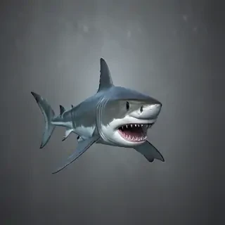 shark backgrounds