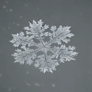 snow transparent