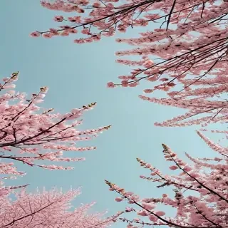 aesthetic spring wallpaper