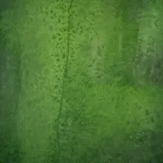 green textures