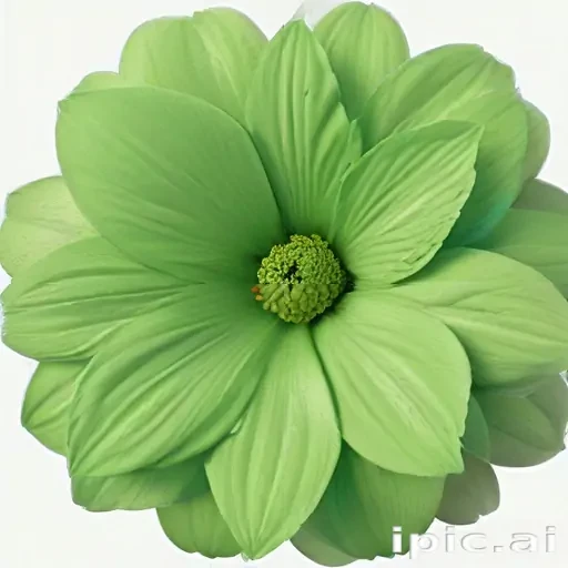green flower png