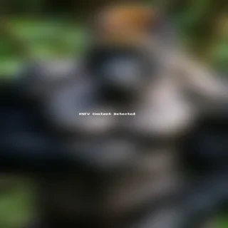 gorilla png