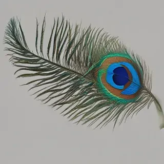 peacock feather png