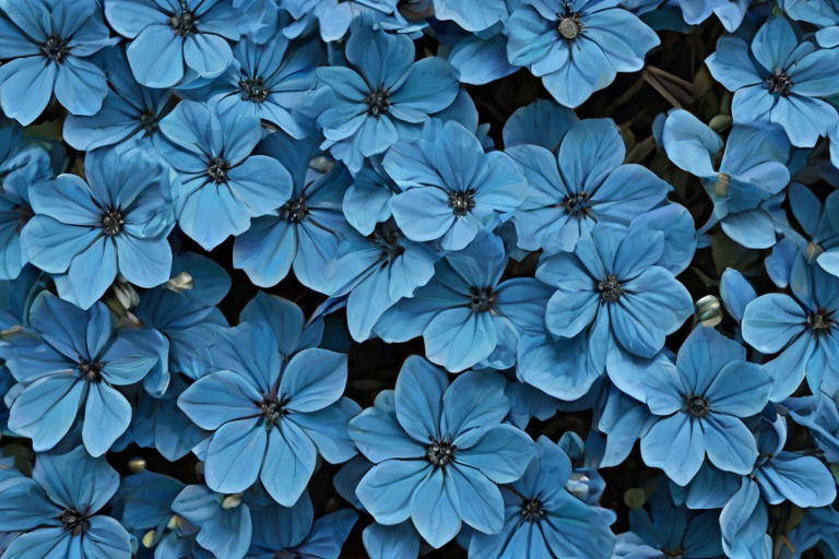 blue flowers aesthetic