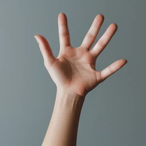 hand reaching png