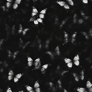 black wallpaper butterfly