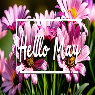 hello may images