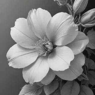 flower drawing for coloring