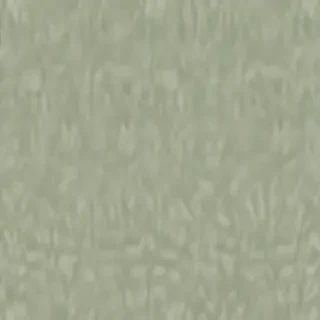 sage green bg