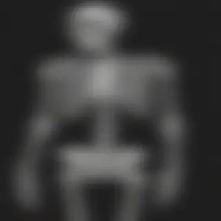 skeleton transparent background