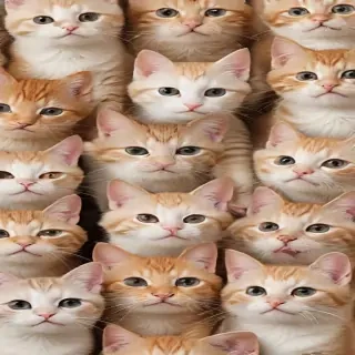 iphone wallpaper cats