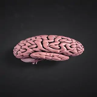 brain background